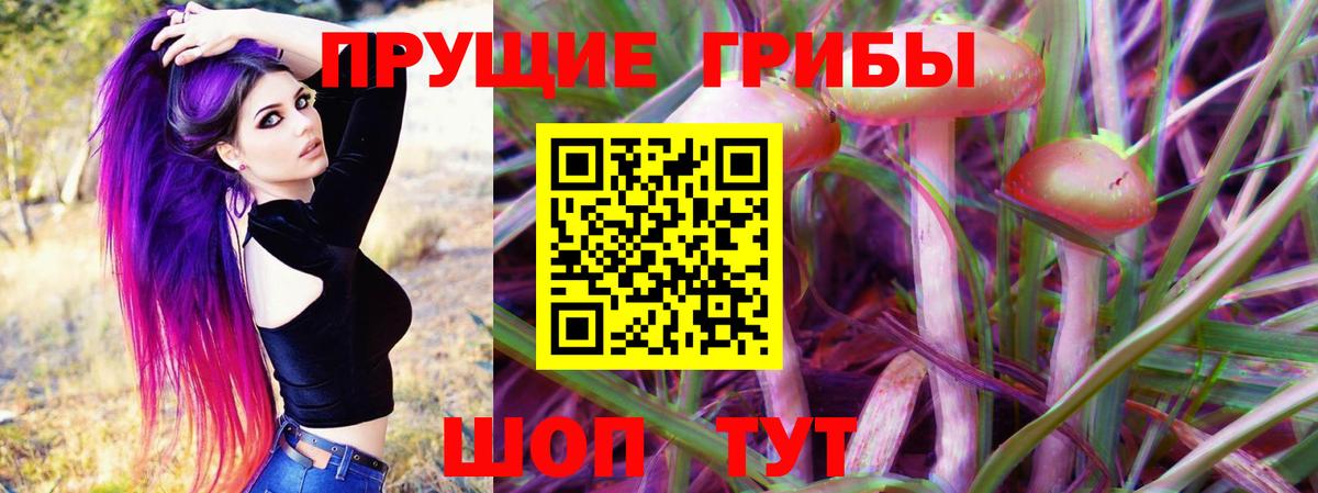 Псилоцибиновые грибы Psilocybe Алатырь