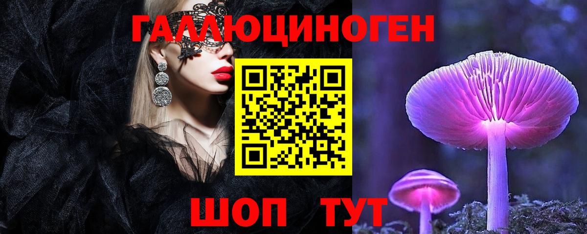 Алатырь  Галлюциногенные грибы Psilocybine cubensis  Вход с VPN 